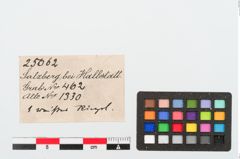 Etiketten zu Bleiringperle (NHMW-PRAE-025062)